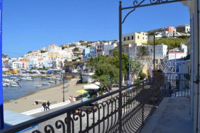 Maridea - Delfino, Ponza